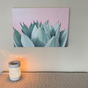 Succulent Canvas Picture